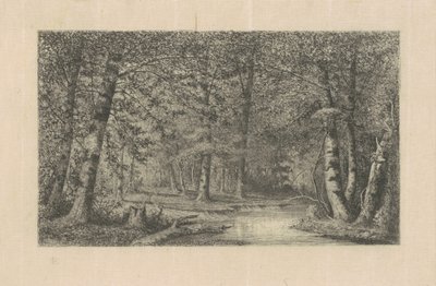 Bukový les od Carl C. Brenner