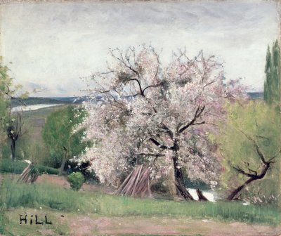 Ovocný strom v Blossom, Bois-le-Roi od Carl Fredrik Hill