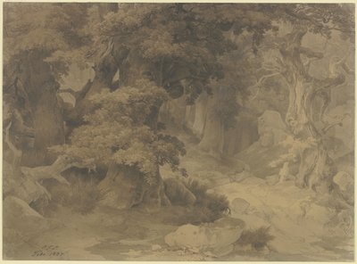  od Carl Friedrich Lessing