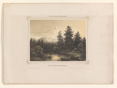 Pohled na vodu v Salzkammergut Flus der Gossau im Salzkammergut (název na objektu) Album představené Ludvíku I. Bavorskému (název série) König-Ludwigovo album (název série) od Carl Friedrich Würthle