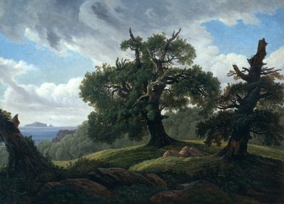 Vzpomínka na zalesněný ostrov v Baltském moři Duby u moře, 1835 od Carl Gustav Carus