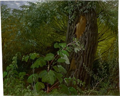 Kmen vrby s podrostem od Carl Gustav Carus