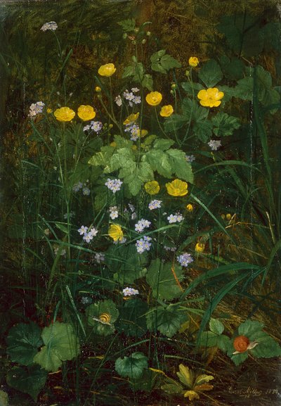 Pryskyřníky a pomněnky na lesní půdě od Carl Henrik Koch Moller