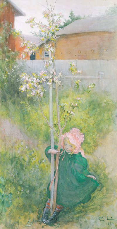 Jabloňový květ, 1894 od Carl Larsson