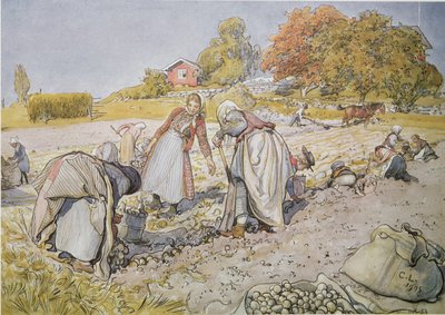 Kopání brambor od Carl Larsson