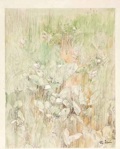 Kallor od Carl Larsson