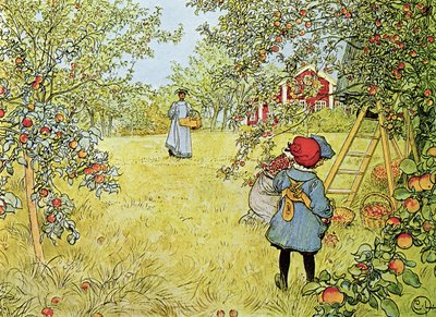 Sklizeň jablek od Carl Larsson
