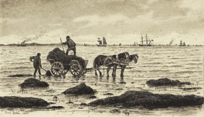 Zemědělci řídí mořské řasy od Carl Locher