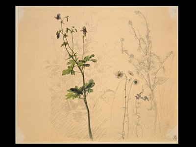  od Carl Philipp Fohr