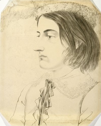 Ludwig Simon, teologický student, 1816 (pero, štětec a černý inkoust na tkaném papíře) od Carl Philipp Fohr