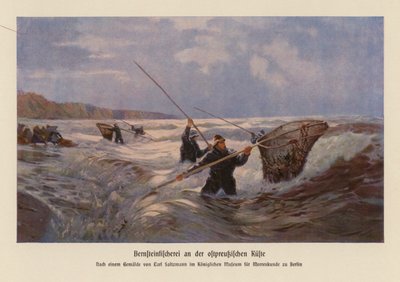 Sběr jantaru v Baltském moři, Východní Prusko (barevná litografie) od Carl Saltzmann