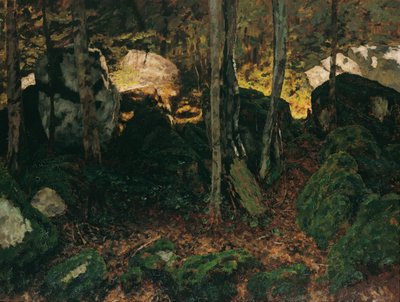 Waldinneres poblíž Saut du Doubs od Carl Schuch