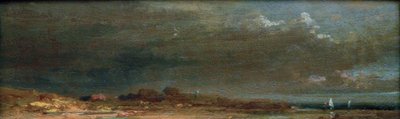 Krajina u jezera - krajina Chiemsee od Carl Spitzweg
