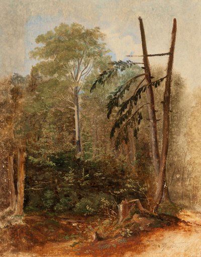 Studium lesní krajiny od Carl Spitzweg