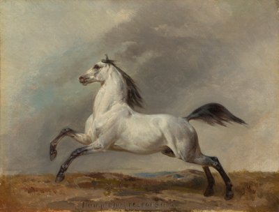 Šedý hřebec vlevo od Carl Steffeck