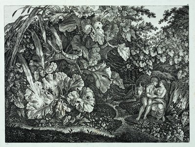Německy: Milenci v jeskyni, obklopeni rostlinami a bylinami Milenci v jeskyni, obklopeni rostlinami a bylinami od Carl Wilhelm Kolbe