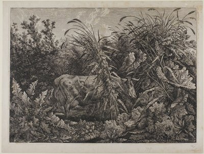 Kráva v potoce od Carl Wilhelm Kolbe the elder