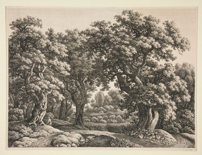 Lesní krajina od Carl Wilhelm Kolbe the elder