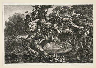 Krajina od Carl Wilhelm Kolbe the elder