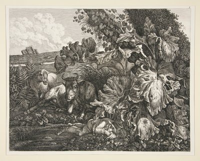 Krajina od Carl Wilhelm Kolbe the elder