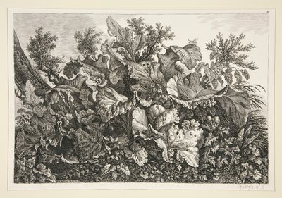 Krajina od Carl Wilhelm Kolbe the elder