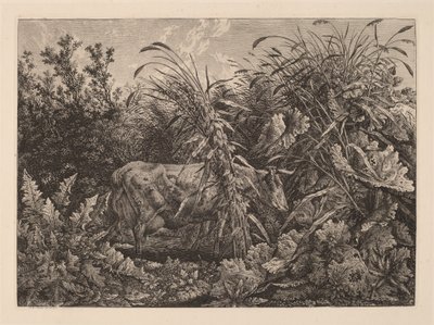 Kráva v bažině od Carl Wilhelm Kolbe, the elder