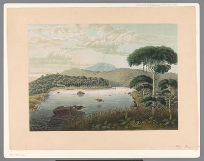 Pohled na jezero Patenggang na Jávě od Carl Wilhelm Mieling (possibly)