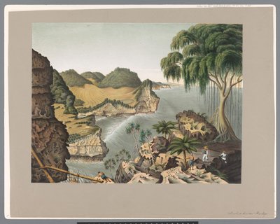 Jižní pobřeží Jávy, východně od Rankopu od Carl Wilhelm Mieling (possibly)