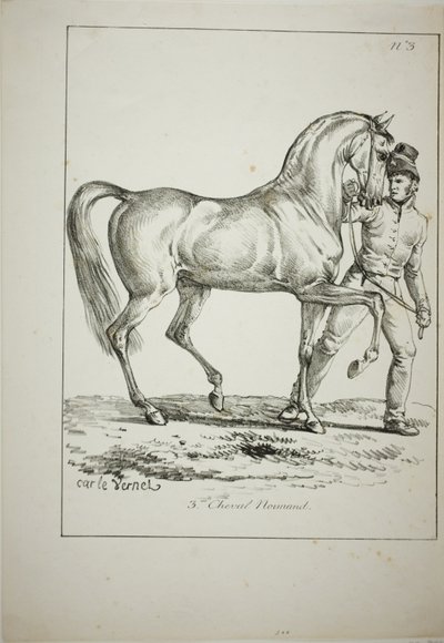 Královská garda, Norman Cavalier, ne v kompletních šatech, a kůň, č. 3 od Carle Vernet