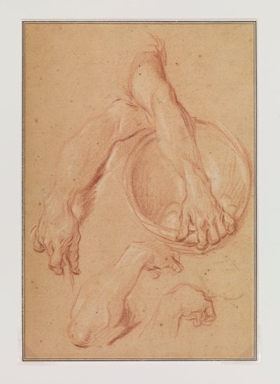 Studien eines Arms od Carle van Loo