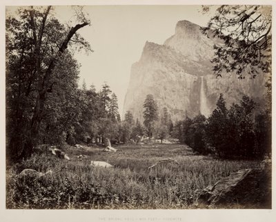 Svatební závoj, Yosemite, c. 1865-1866. od Carleton E. Watkins