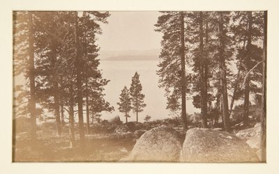 Čtyři železniční scény a čtyři pohledy na jezero Tahoe: Lake Tahoe z Warm Springs od Carleton E. Watkins