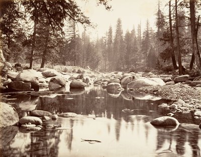 Merced River, ca. 1872, vytištěno ca. 1876. od Carleton E. Watkins.