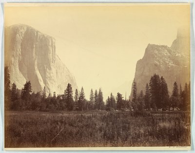 Nahoru údolím od úpatí stezky Mariposa, Yosemite, no. 9 od Carleton E. Watkins