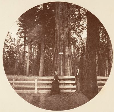 Auld Reckie. C. Grove, ca. 1878. od Carleton Emmons Watkins