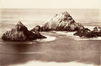 Seal Rocks, 1868-69, vytištěno ca. 1876. od Carleton Emmons Watkins