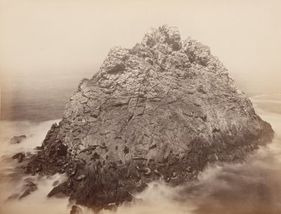 Ostrovy cukrové homole, Farallons, 1868-69. od Carleton Emmons Watkins