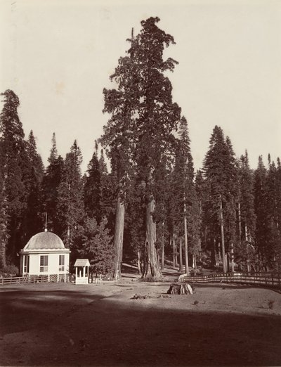 Sentinel, 315 stop, 1865-66, vytištěno ca. 1876. od Carleton Emmons Watkins