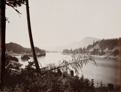 Pohled na Columbia, Cascades, 1867. od Carleton Emmons Watkins