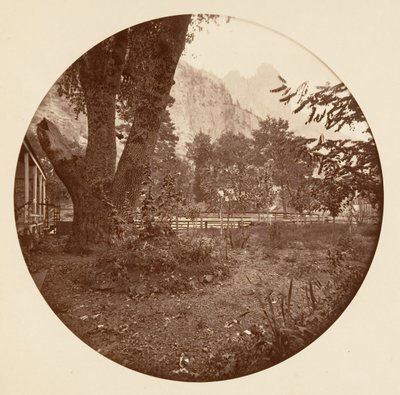 [Yosemitský národní park, Kalifornie], ca. 1878. od Carleton Emmons Watkins