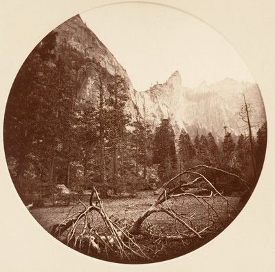[Yosemitský národní park, Kalifornie], ca. 1878. od Carleton Emmons Watkins