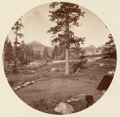 [Yosemitský národní park, Kalifornie], ca. 1878. od Carleton Emmons Watkins