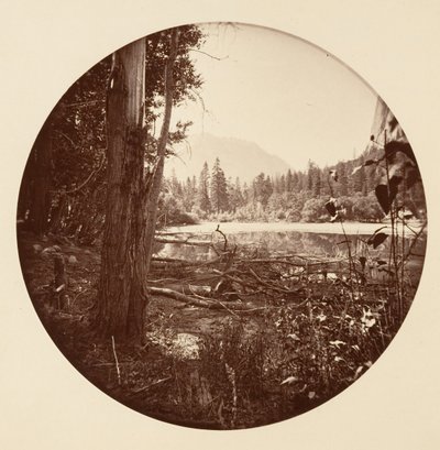 [Yosemitský národní park, Kalifornie], ca. 1878. od Carleton Emmons Watkins