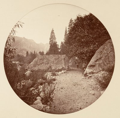 [Yosemitský národní park, Kalifornie], ca. 1878. od Carleton Emmons Watkins