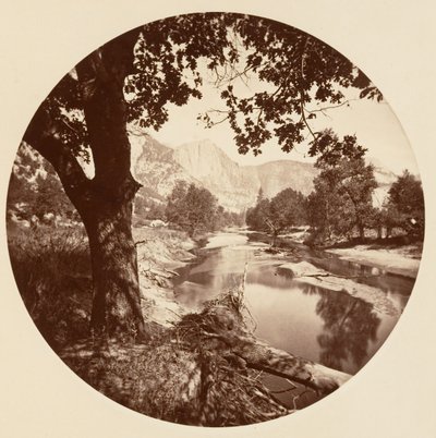 [Yosemitský národní park, Kalifornie], ca. 1878. od Carleton Emmons Watkins