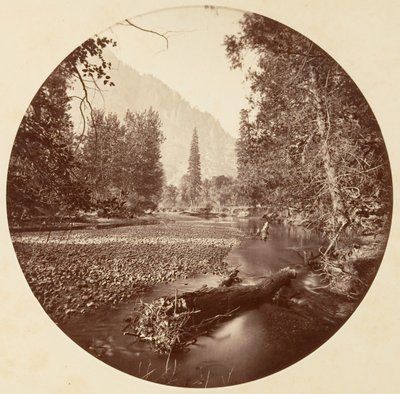 [Yosemitský národní park, Kalifornie], ca. 1878. od Carleton Emmons Watkins