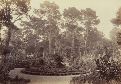  od Carleton Watkins