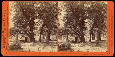 Cabin in Camp Grove, Yosemite Valley, Mariposa County, Ca od Carleton Watkins