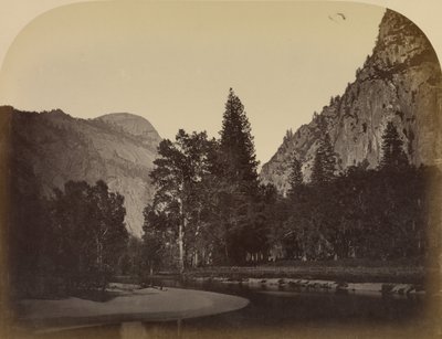 Camp Grove - Yo Semite od Carleton Watkins