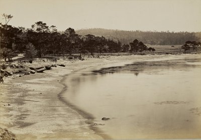 [Pohled na pobřeží u Monterey] od Carleton Watkins